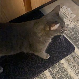 Meet your Posher, Darren